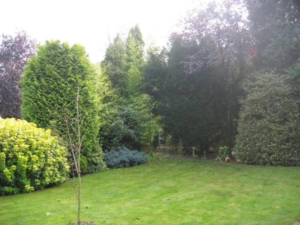 Right Garden Suite In Villa Near Centre And Tue Eindhoven Dış mekan fotoğraf
